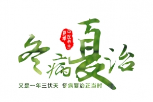 冬病夏治艺术字