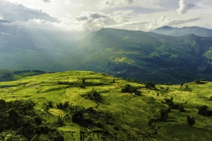 俯视绿色山地海报背景