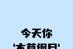 你今天本草纲目了吗 刘畊宏4k手机壁纸2160x3840