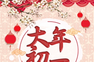 中国风大年初一拜新年春节海报