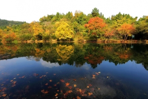 贵阳花溪风景图