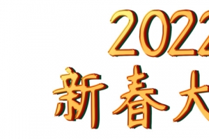 2022艺术字