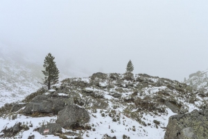 树 丘陵 雪 雾 自然 风景 4k壁纸 3840x2160