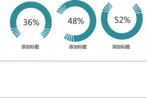 环形分类占比图.