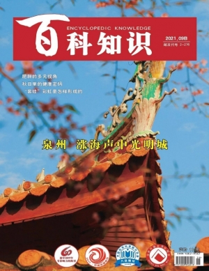 2021百科知识精粹PDF，结果精准呈现，纯净阅读体验