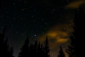 云杉 星星 星空 夜间 4k壁纸 3840x2160