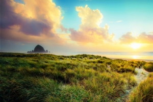 天空大海草地背景