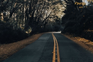 道路 沥青 树木 秋天 自然 4k壁纸 3840x2160