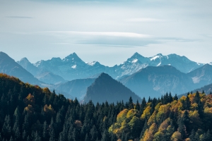 茫茫大青山，绿色天堂，森林