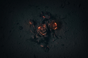 灰烬的地面上燃烧的玫瑰花背景素材