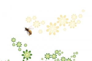 蜂蜜采花