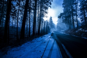 冬天的雪,树木,道路,蓝色森林,太阳,风景图片