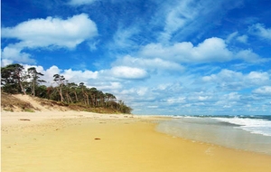 美丽海景海报背景