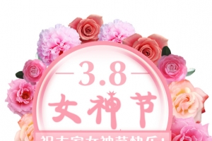 三八女神节粉红玫瑰花浪漫气球海