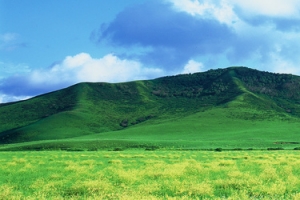 草原山丘背景