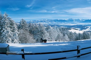 雪域