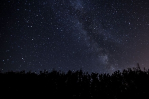 星空 银河 夜晚 树木 黑暗 光泽 4k壁纸 3840x2160