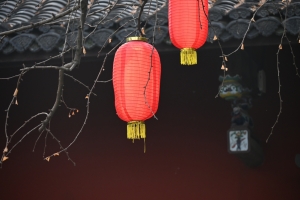 春节 灯笼 树枝 建筑 瓦片 5k风景壁纸