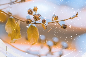 创意传统墨迹背景图