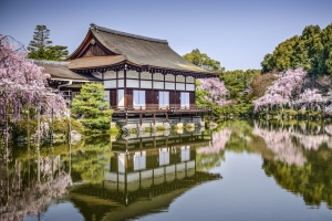 平安神宫 日本京都 花 池塘 4K风景壁纸