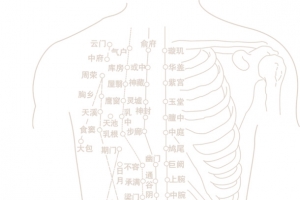 人形脉络图