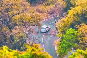 道路 树木 汽车 转弯 鸟瞰 4k壁纸 3840x2160