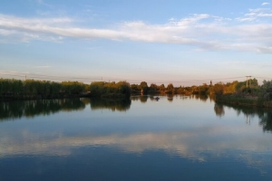 夏日湖边风景