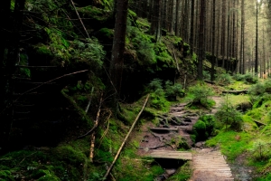 德国瑞士森林国家公园（National park Sächsische Schweiz, Germany.）3440x1440风景壁纸