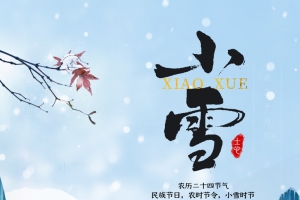 中国传统24节气小雪海报