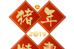 2019猪年特惠艺术字