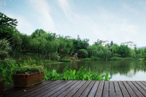 高清绿色湖泊木板背景