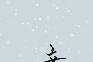 冬天立冬下雪雪花