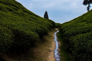 山丘 绿色植物 溪流 风景 自然 4k壁纸 3840x2160