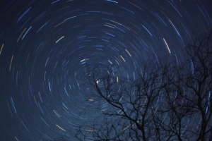 树 树枝 星星 冰柜灯 夜晚 深色 4k壁纸 3840x2160