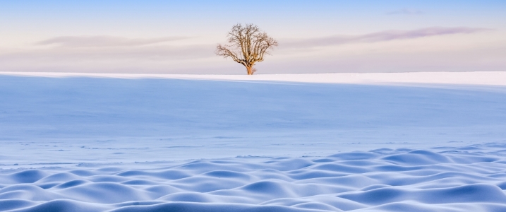 冬季雪地一棵树3440x1440风景壁纸