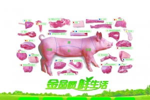 猪肉结构鲜肉海报背景素材