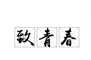 致青春黑色方格字体