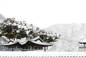 冬季雪景大气建筑白色banner