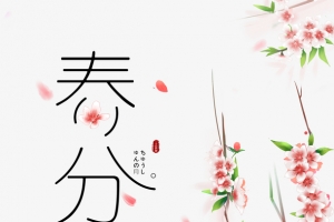 春分手绘桃花花瓣窗沿