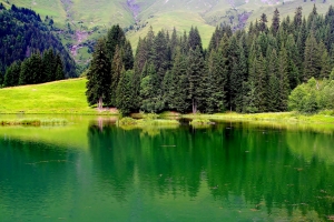 绿色湖水,山,草,树木,自然风光图片