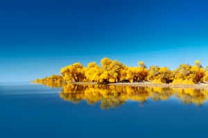 华为 自带 秋天风景 湖水 黄色的树 平板电脑壁纸