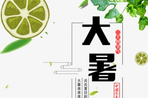 大暑炎炎夏日西瓜柠檬水果