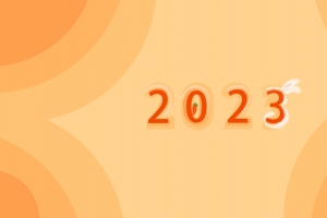 2023 创意 橙色 萝卜 兔子 新年 可爱 8k 壁纸