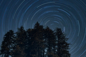 棵树 星空 长曝光 旋转 夜晚 深色 4k壁纸 3840x2160