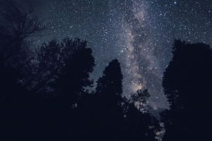 星空 夜晚 星星 树木 4k壁纸 3840x2160