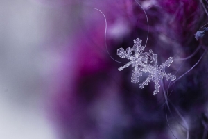 雪花 水晶 冰 宏观 4k壁纸 3840x2160