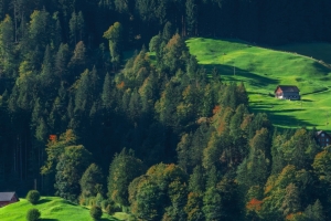 森林 山坡 绿色 木屋 3440x1440高清带鱼屏壁纸