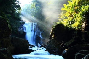 石头 河流 瀑布 阳光 树木 自然风景4K壁纸