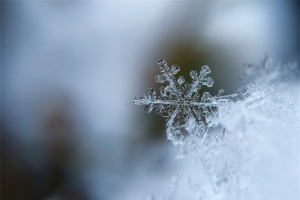 冬天雪景自然风景