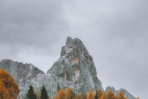 树林山区景色